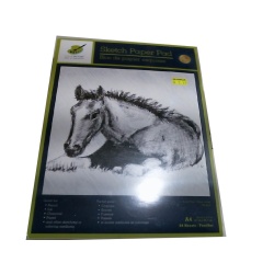 Sketch Pad 9x12 24 sheets Acid Free"