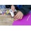 Glue gun 10 watt includes 2 glue sticks time 4 crafts