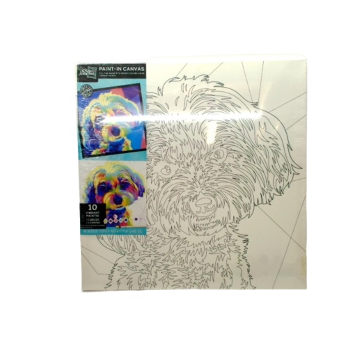 Paint-in Canvas 20 x 20