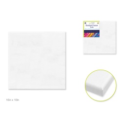 Stretch Artist Canvas Square  10x10" Primed Back -Stapled"