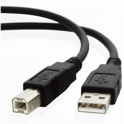 Cable - AM - BM 10 Foot USB 2.0 Printer