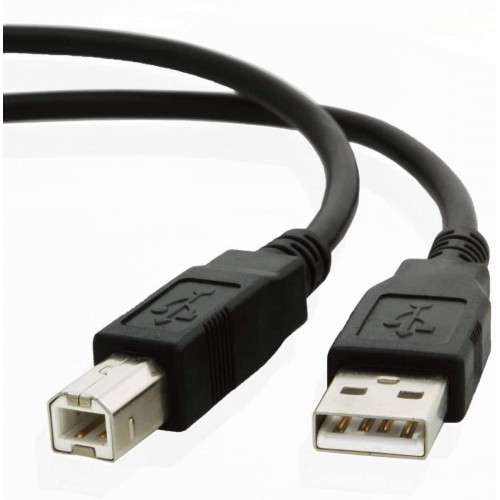 Cable - AM - BM 10 Foot USB 2.0 Printer