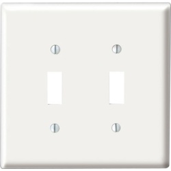 Wallplate switch 2 gang white for standard switches