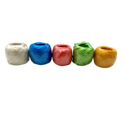 Plastic Packing String Assorted Colours