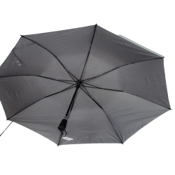 Umbrella - auto folding golf