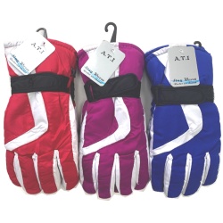 Ski Gloves Ladies Asst.