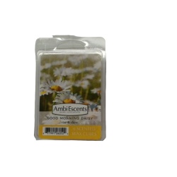 Wax Melts 2oz. Good Morning Daisy Ambi Escents