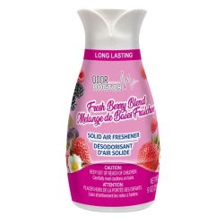 Berry Blend 250gm Odor Doctor Solid Air Freshener Cone