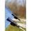 Tarp clips pack of 2