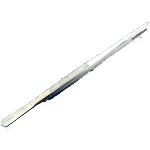 Forceps, thumb dressing, 250mm 10, stainless