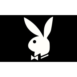 Flag Playboy 3x5 polyester with metal grommets