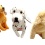 Rescue Dogs 8 Plush Assorted Wild Republic (EACH SOLD INDIVIDUALLY)