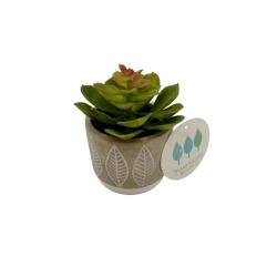 Artificial Succulent Plant 3 x 3" Cement Pot"