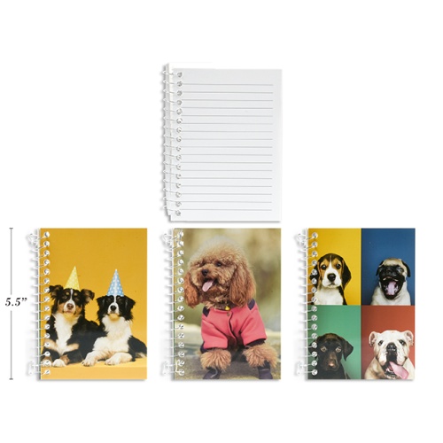 LITTLE BK 10X14CM 240P SIDE COIL ASST ANIMALS