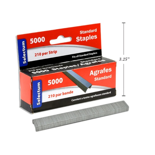 STAPLES STANDARD SIZE CHISEL POINT 5000/BX