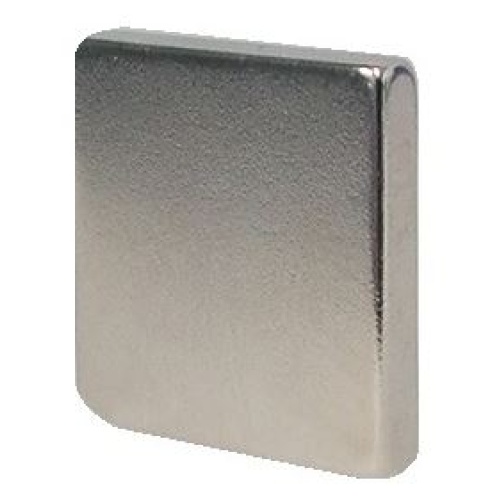 Rare Earth Magnet 20 x 20