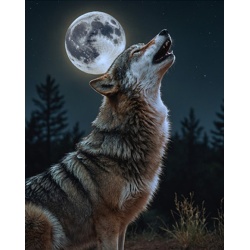 Printed Throw Wolf 48 x 60" Micromink"