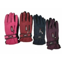 Ski Gloves Ladies Microfiber Lined Dotted Palm w/Zip Ass't Colours Thermax