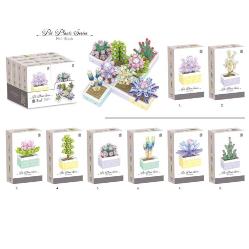 DIY Succulent Building Block Set