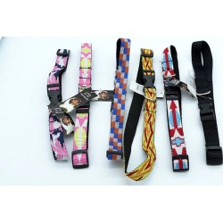 Dog Collar Large Assorted 20-26""
