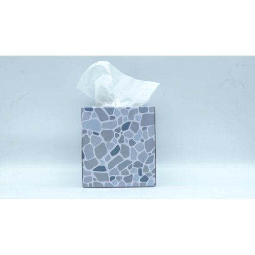 Facial Tissues 2 Ply 75Ct Suave