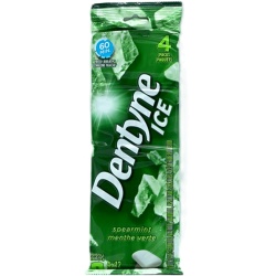 Dentyne Ice Spearmint Gum 4pks. x 12pcs. (or $0.99/pack)