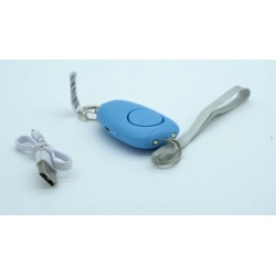 Keychain w/2 Lights & Alarm Trigger & Charge Cord