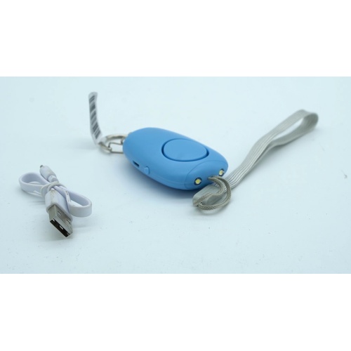 Keychain w/2 Lights & Alarm Trigger & Charge Cord