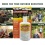Insect Repellent Lotion Deet Free 100mL Canadian Shield