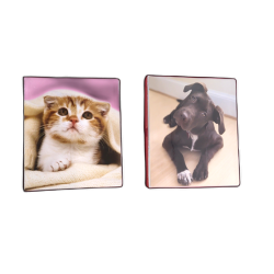 1 Fashion Binder Assorted Animals"