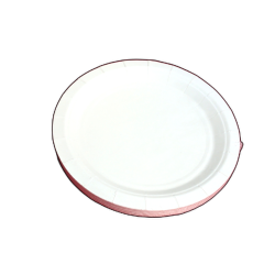 Paper Plates 7 Round White 125pk."